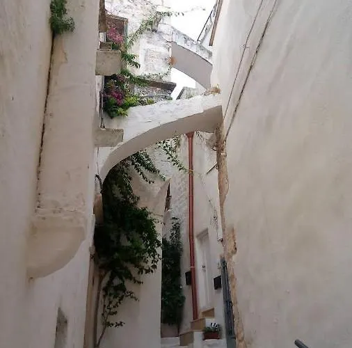 Stunis Buze בית נופש אוסטוני